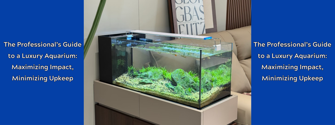 The Professional’s Guide to a Luxury Aquarium: Maximizing Impact, Minimizing Upkeep