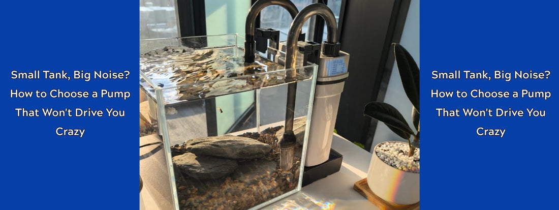 Small Tank, Big Noise? How to Choose a Pump That Won't Drive You Crazy