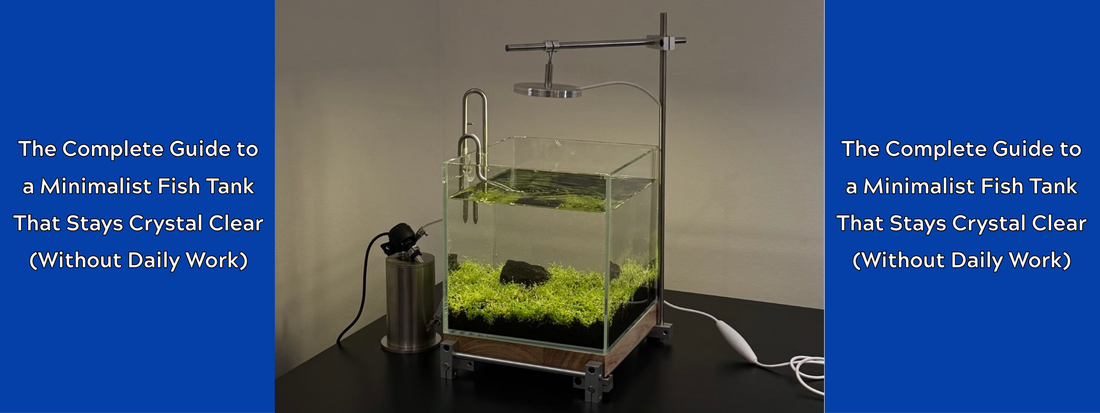 The Complete Guide to a Minimalist Fish Tank That Stays Crystal Clear (Without Daily Work)