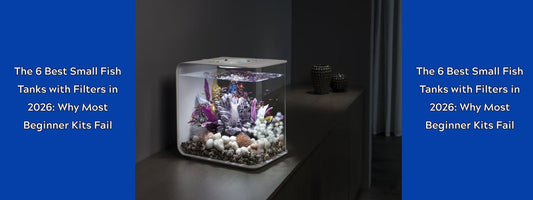 The 6 Best Small Fish Tanks with Filters in 2026: Why Most Beginner Kits Fail