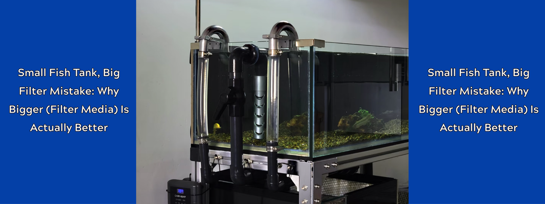 Small Fish Tank, Big Filter Mistake: Why Bigger (Filter Media) Is Actually Better
