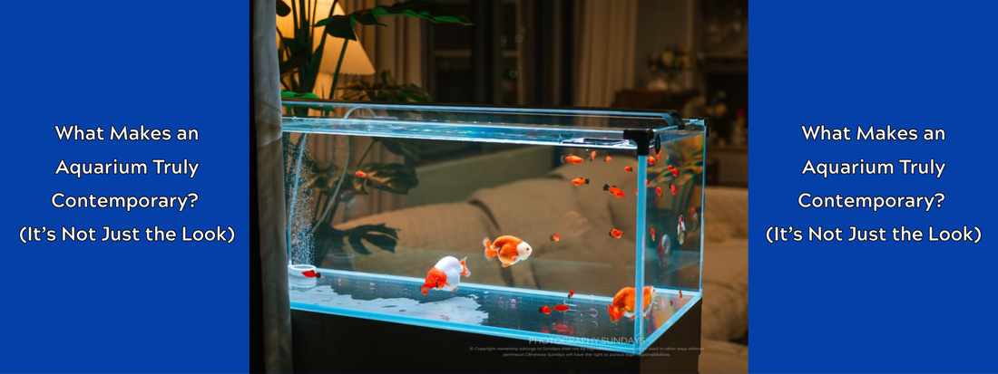 What Makes an Aquarium Truly Contemporary? (Hint: It’s Not Just the Look)