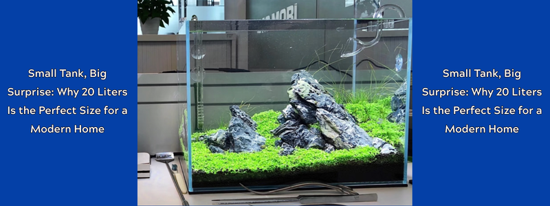 Small Tank, Big Surprise: Why 20 Liters Is the Perfect Size for a Modern Home
