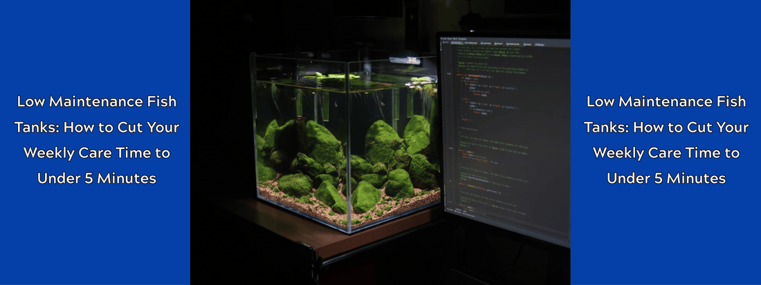 Low Maintenance Fish Tanks: How to Cut Your Weekly Care Time to Under 5 Minutes