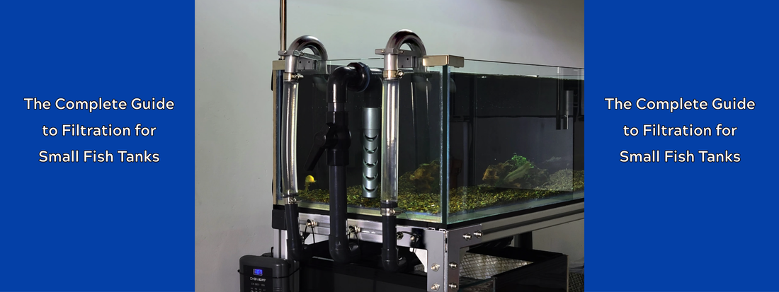The Complete Guide to Filtration for Small Fish Tanks: From Noisy HOBs to Silent, Built-In Systems.