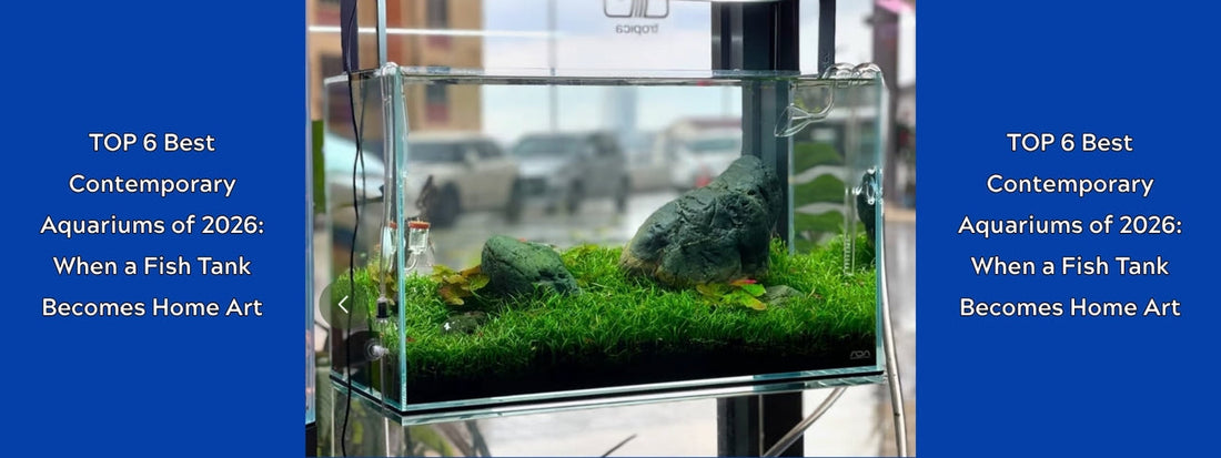 TOP 6 Best Contemporary Aquariums of 2026: When a Fish Tank Becomes Home Art