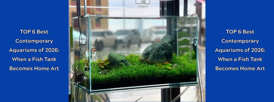 TOP 6 Best Contemporary Aquariums of 2026: When a Fish Tank Becomes Home Art