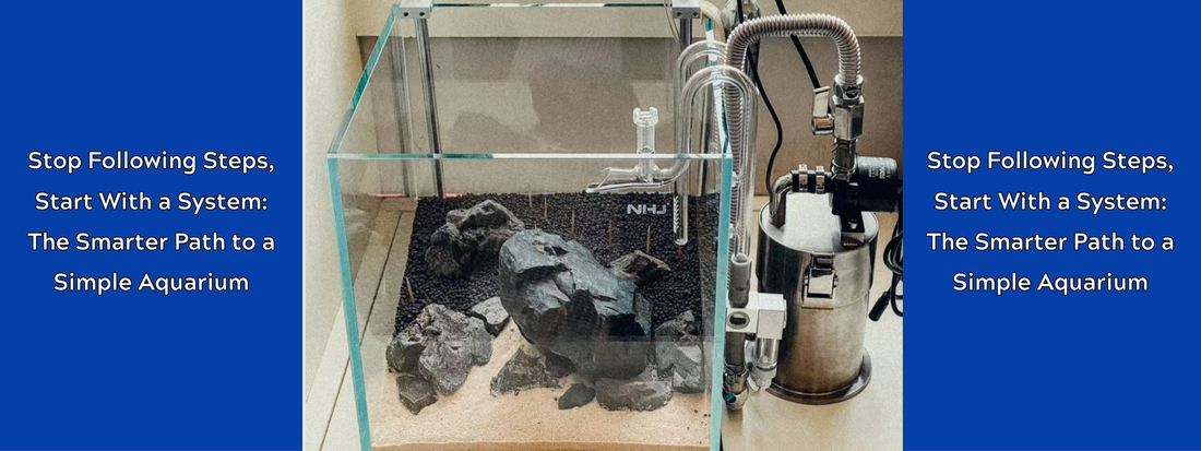 Stop Following Steps, Start With a System: The Smarter Path to a Simple Aquarium