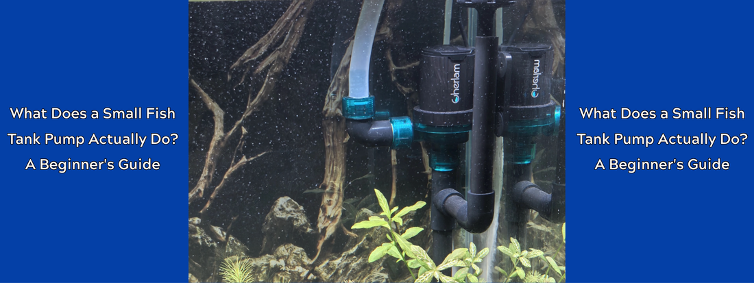 What Does a Small Fish Tank Pump Actually Do? A Beginner's Guide