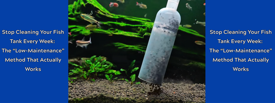 Stop Cleaning Your Fish Tank Every Week: The “Low-Maintenance” Method That Actually Works