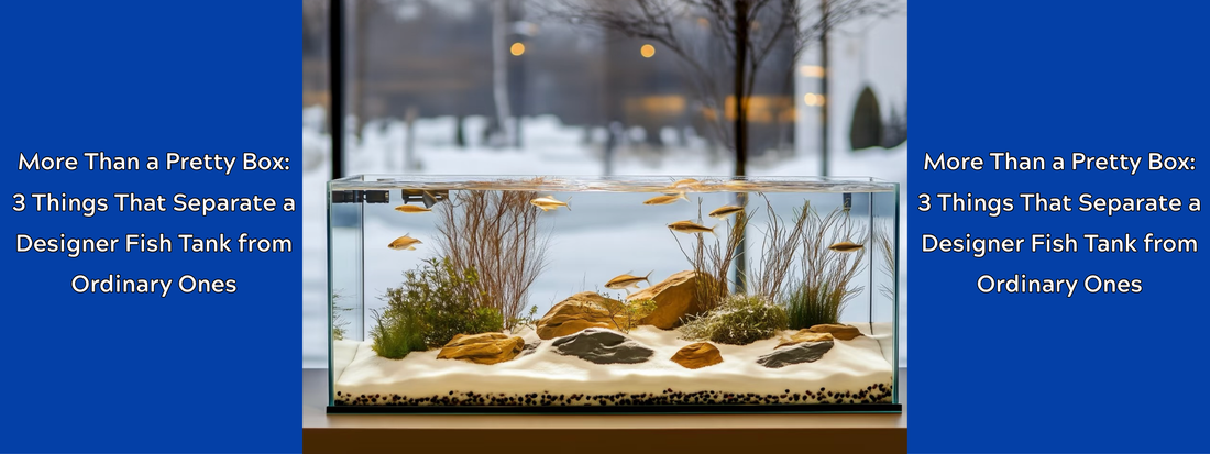 More Than a Pretty Box: 3 Things That Separate a Designer Fish Tank from Ordinary Ones