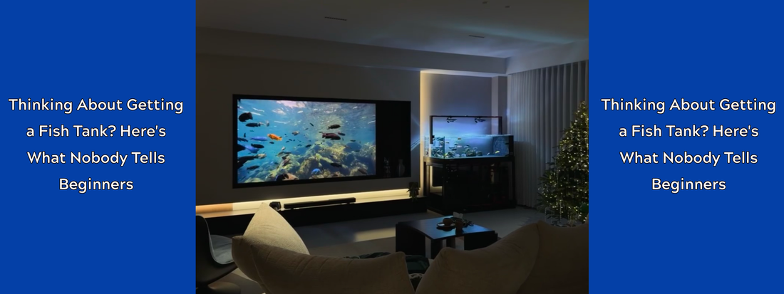 Thinking About Getting a Fish Tank? Here's What Nobody Tells Beginners