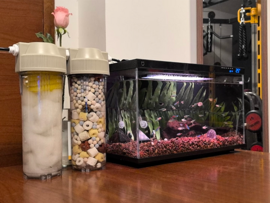 5 Common Mistakes in Simple Fish Tank Design (And How to Avoid Them)