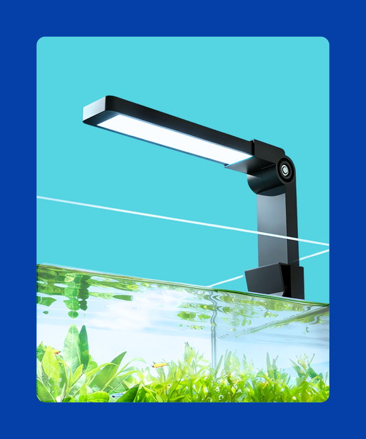 Zidee LED Aquarium Light