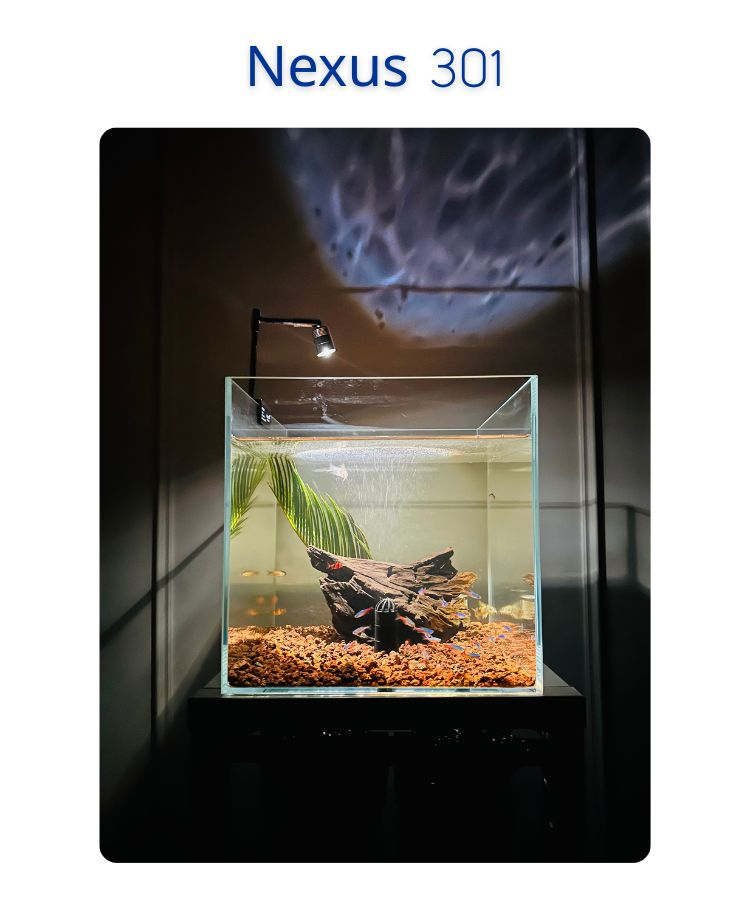 Nexus 301